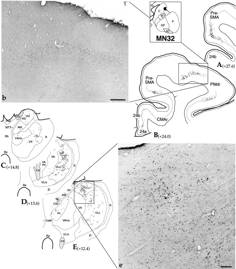 Fig. 9.