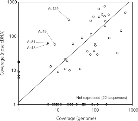 FIG. 3.—