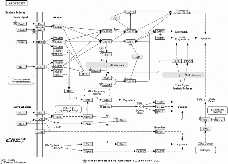 Fig. 2