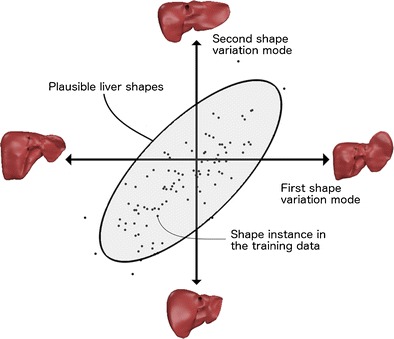 Fig. 12