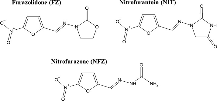 FIG 1