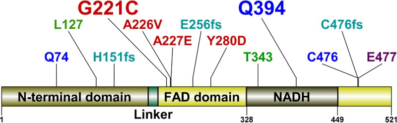 FIG 2