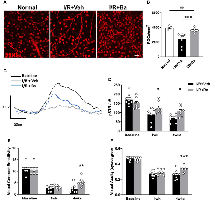 Figure 6