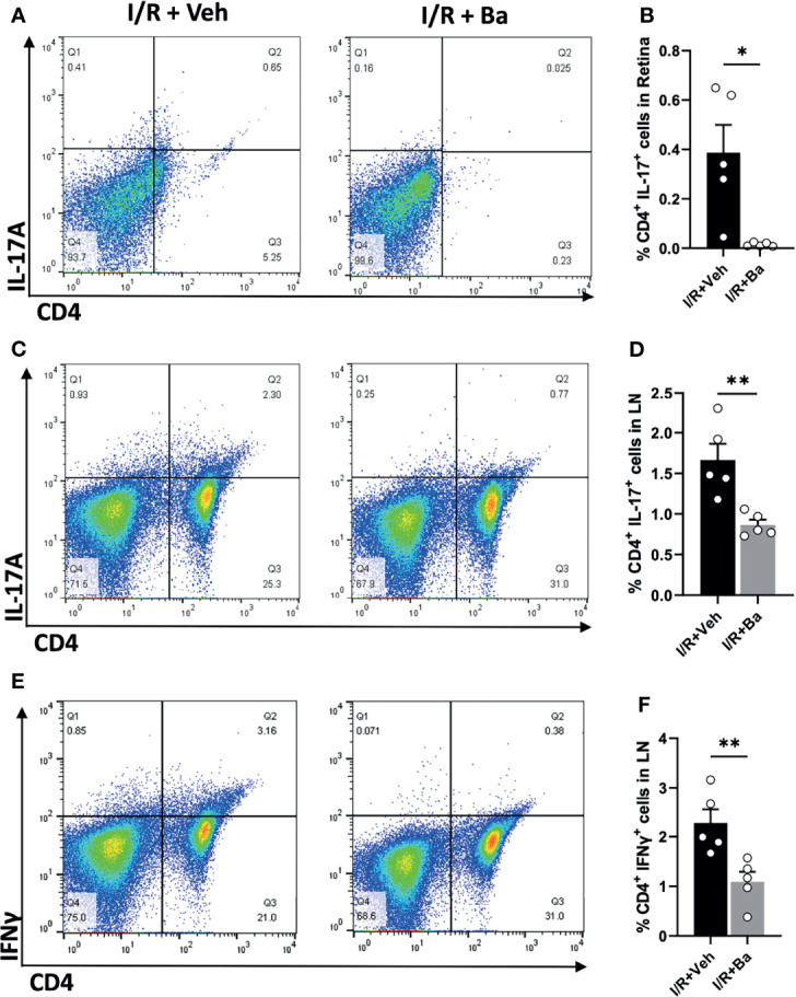 Figure 5