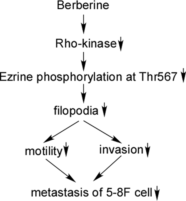 FIGURE 10.