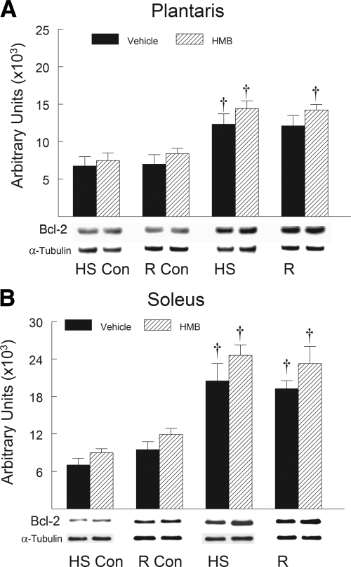 Fig. 10.