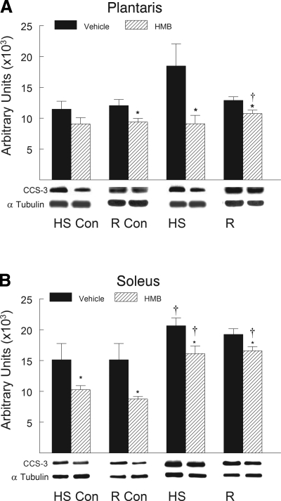 Fig. 9.