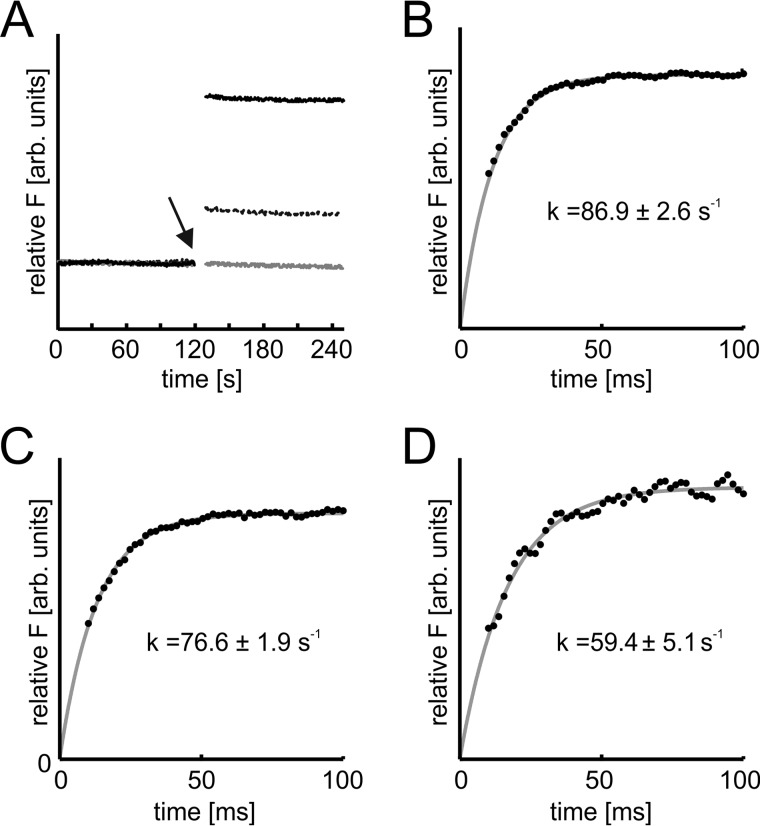 FIGURE 10.