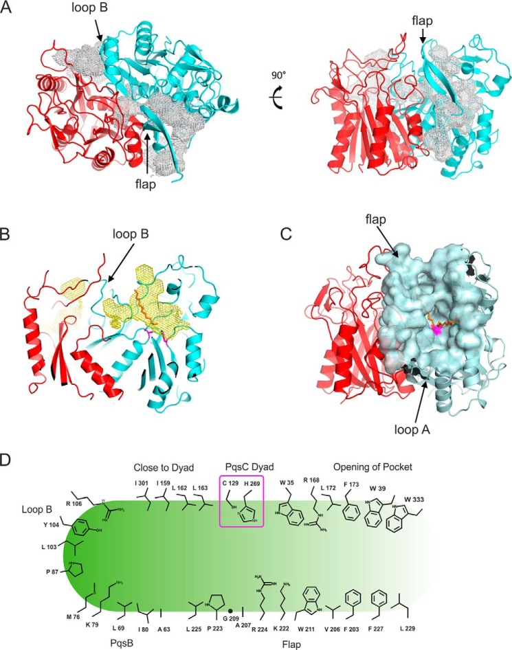 FIGURE 6.