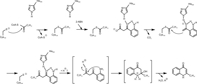 FIGURE 11.