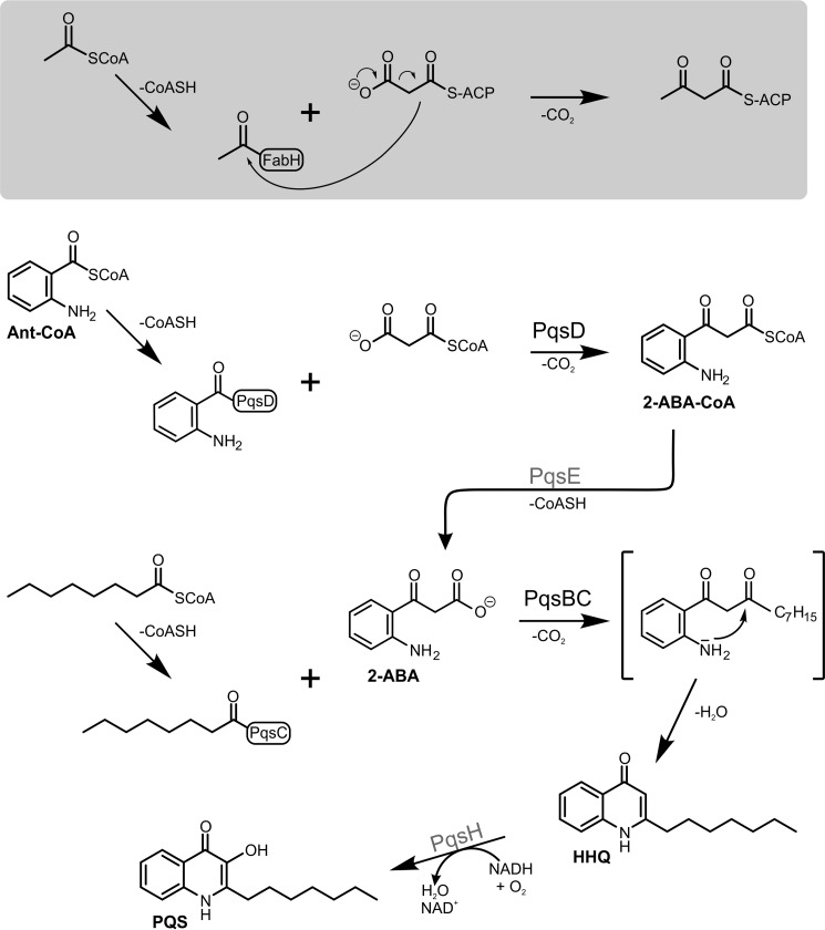 FIGURE 1.