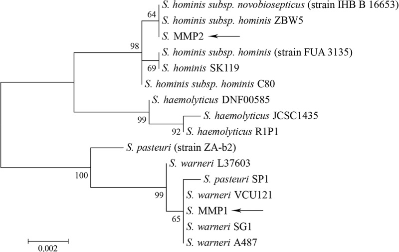 Figure 4.