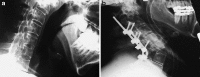 Fig. 2.