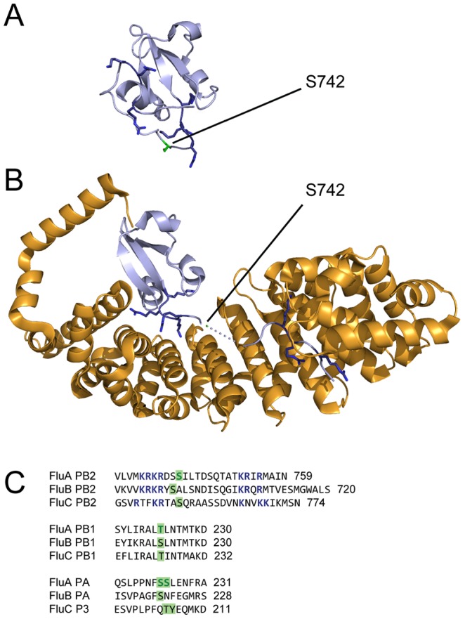 Figure 6