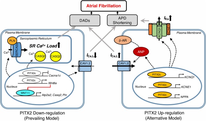 Figure 1