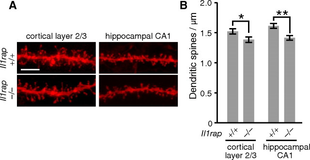 Figure 10.