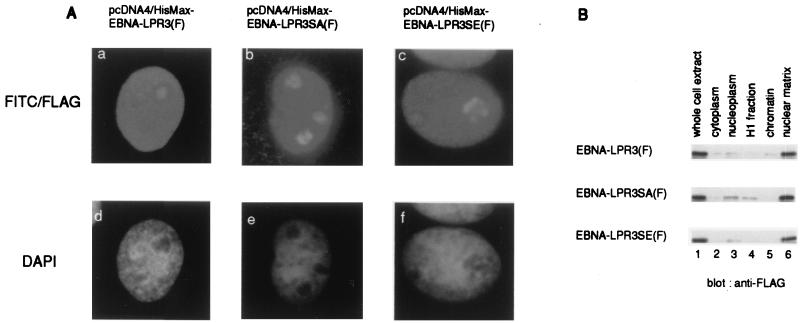 FIG. 6