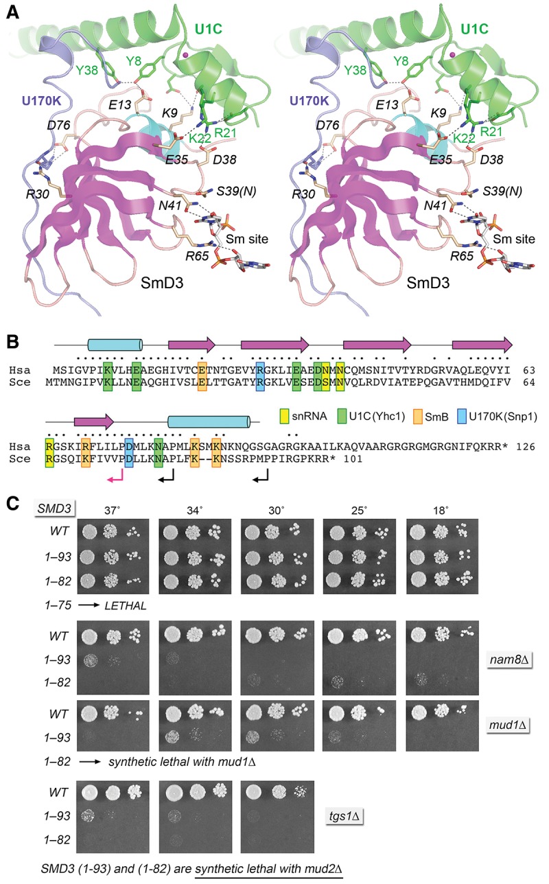 FIGURE 2.