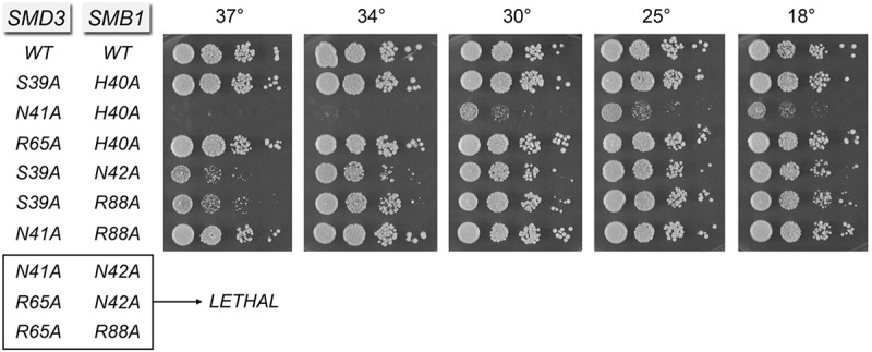 FIGURE 7.