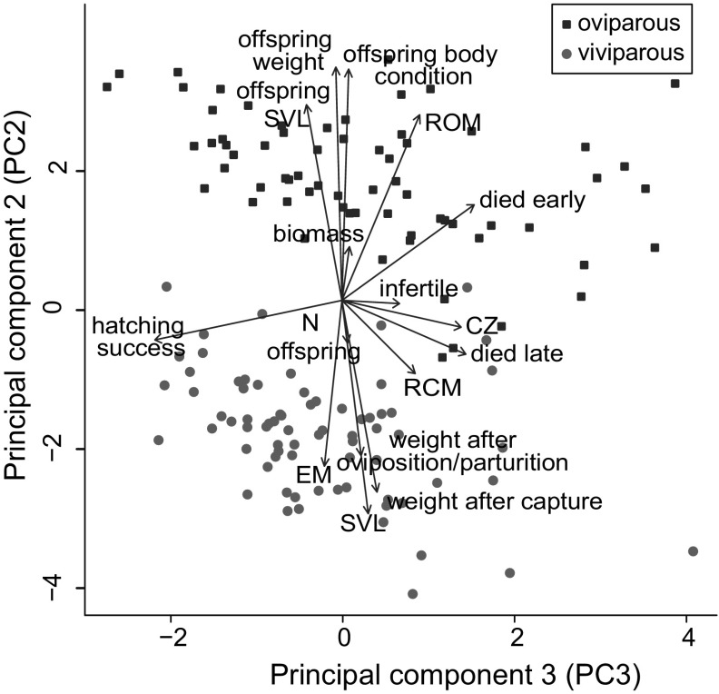 Fig. 4