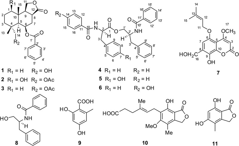 Figure 1.