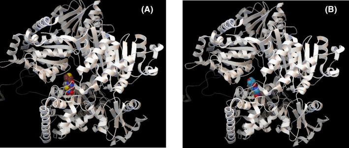 FIGURE 2