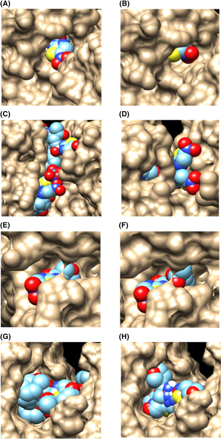 FIGURE 3