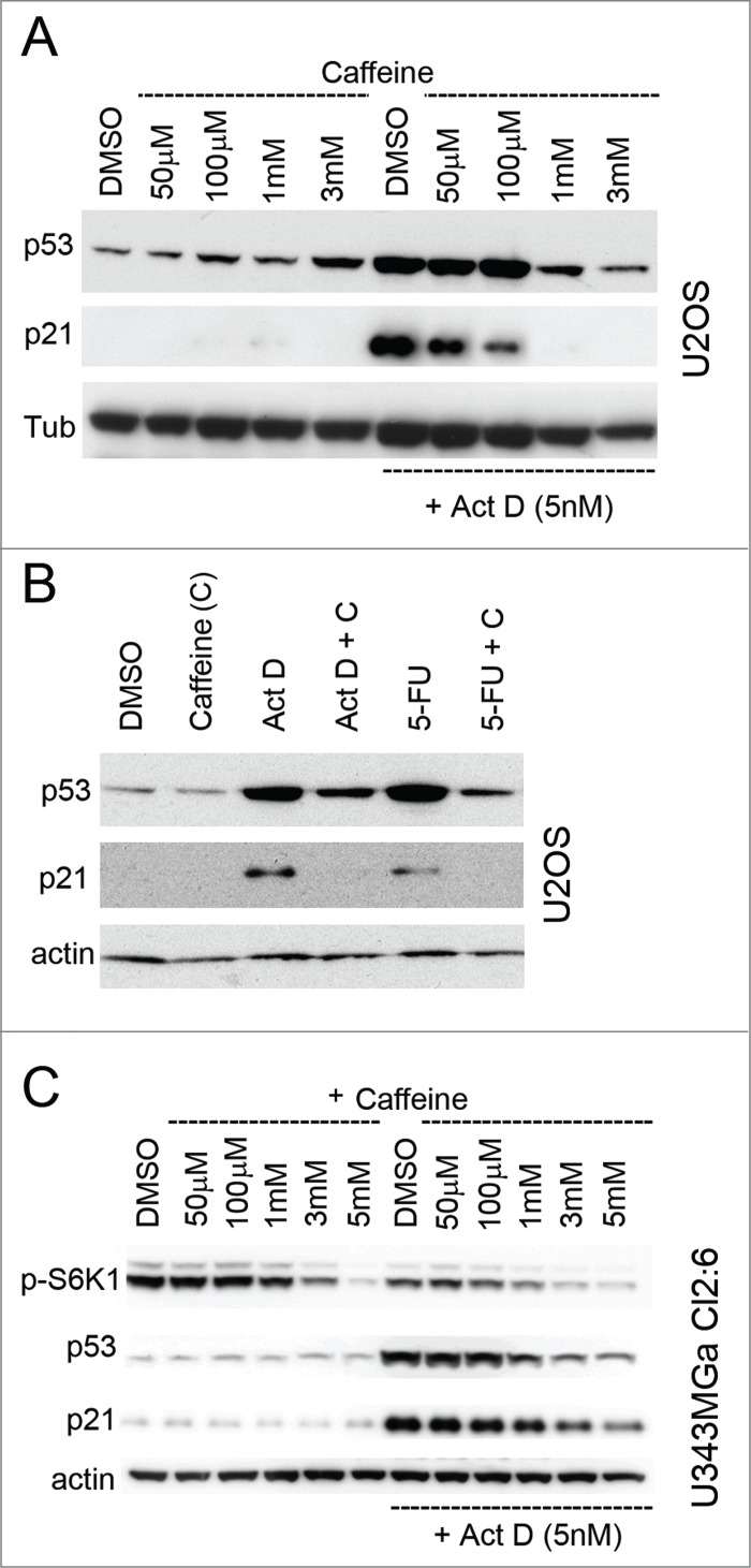 Figure 5.