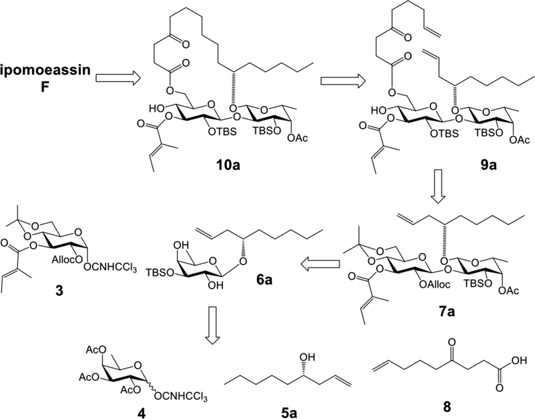 Scheme 1