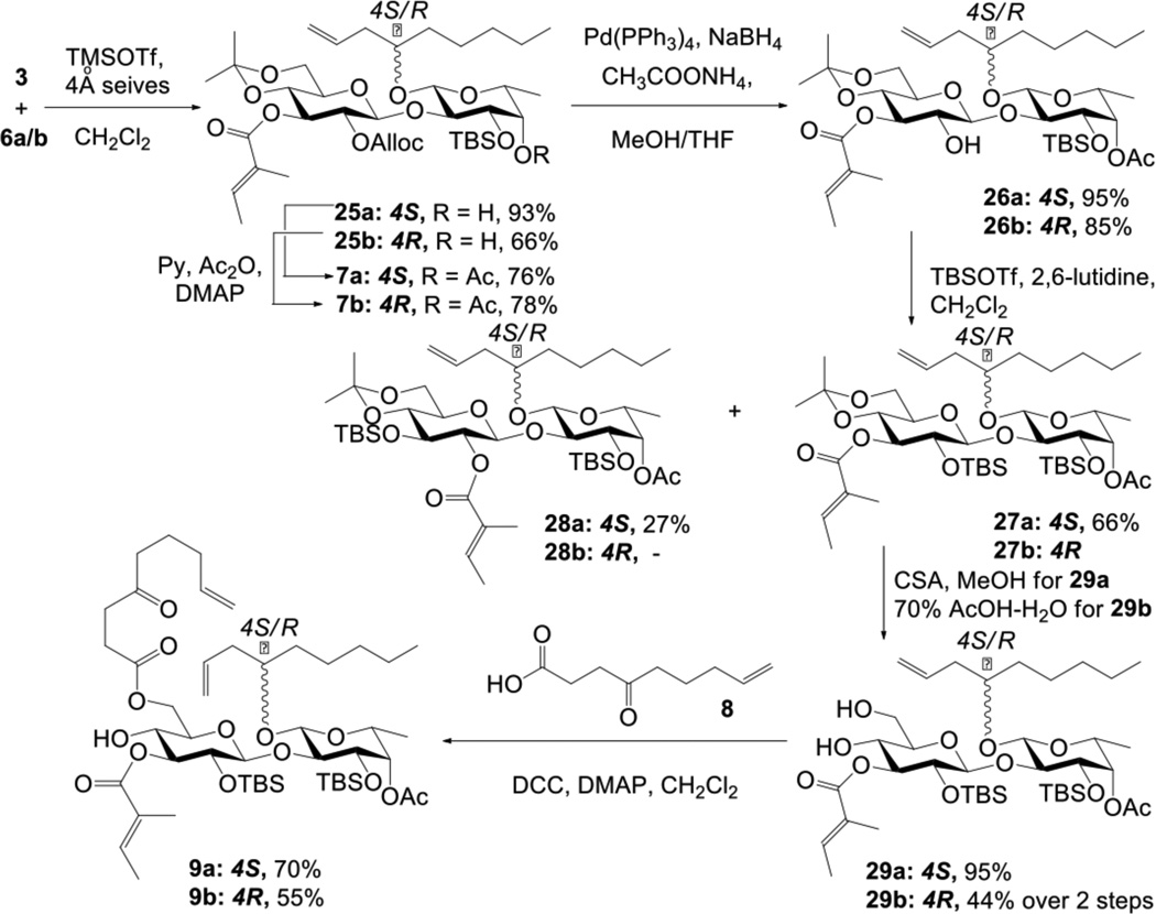 Scheme 4