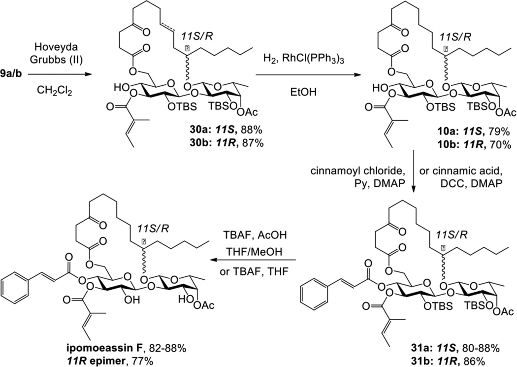 Scheme 5