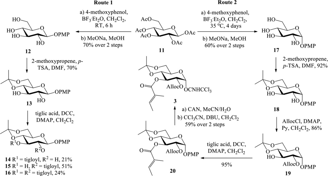 Scheme 2