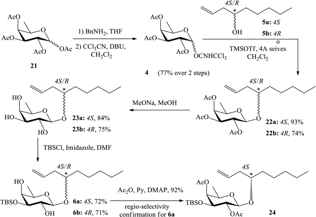 Scheme 3