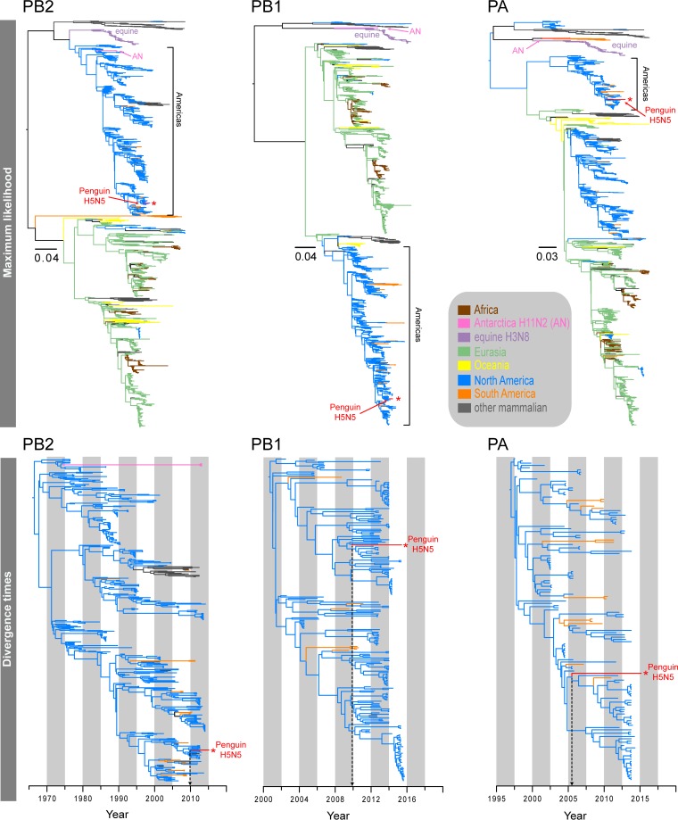 FIG 2