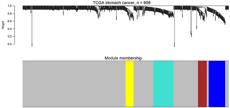 Figure 4.