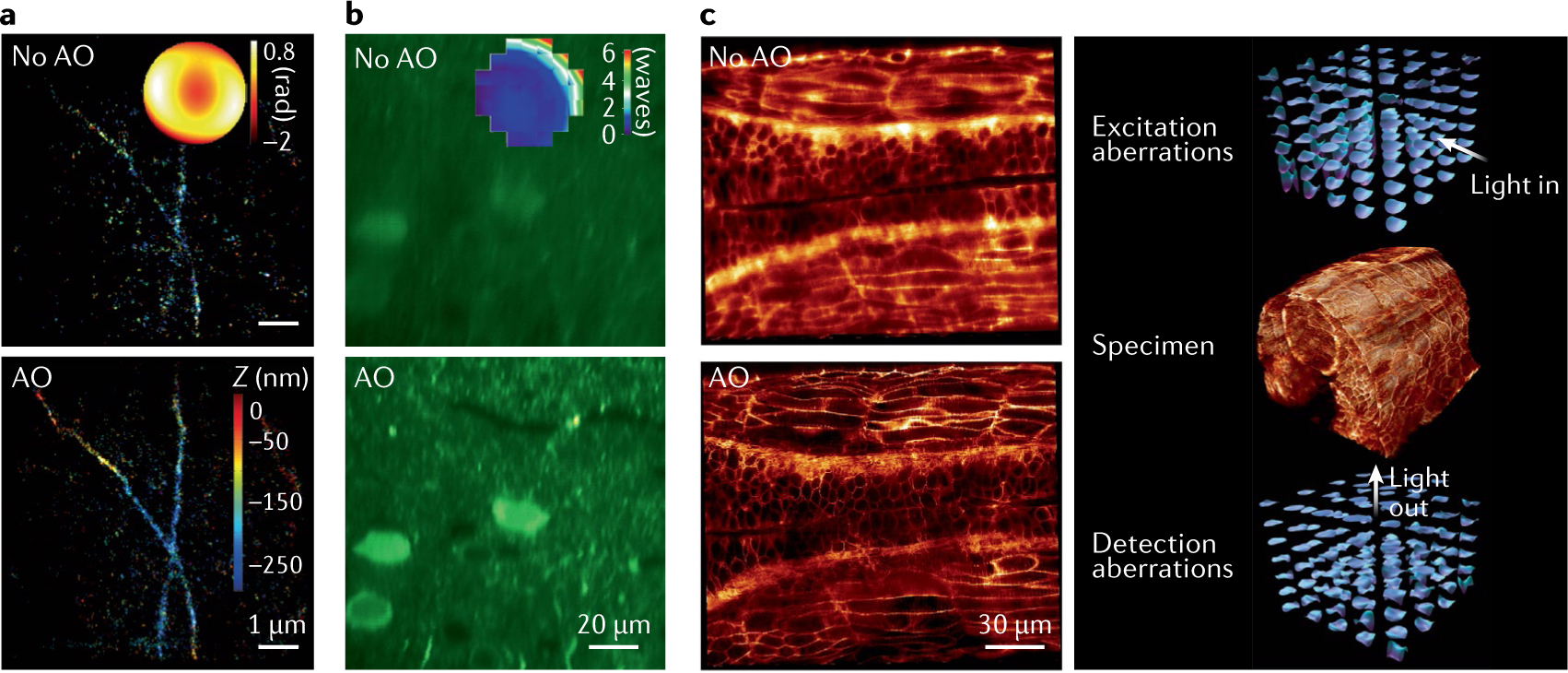 Fig. 9 |