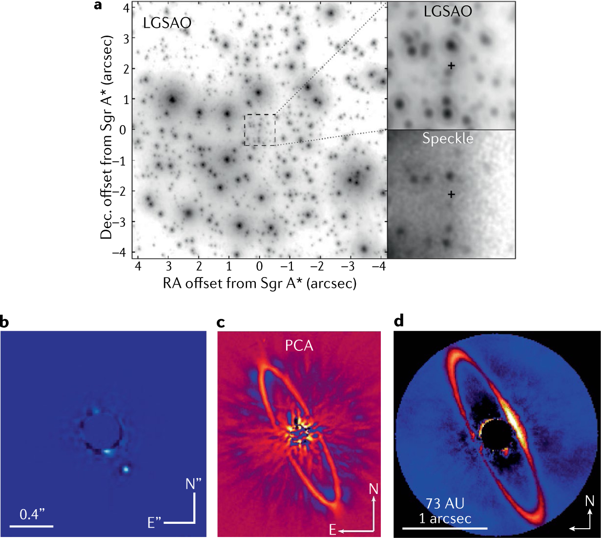 Fig. 10 |