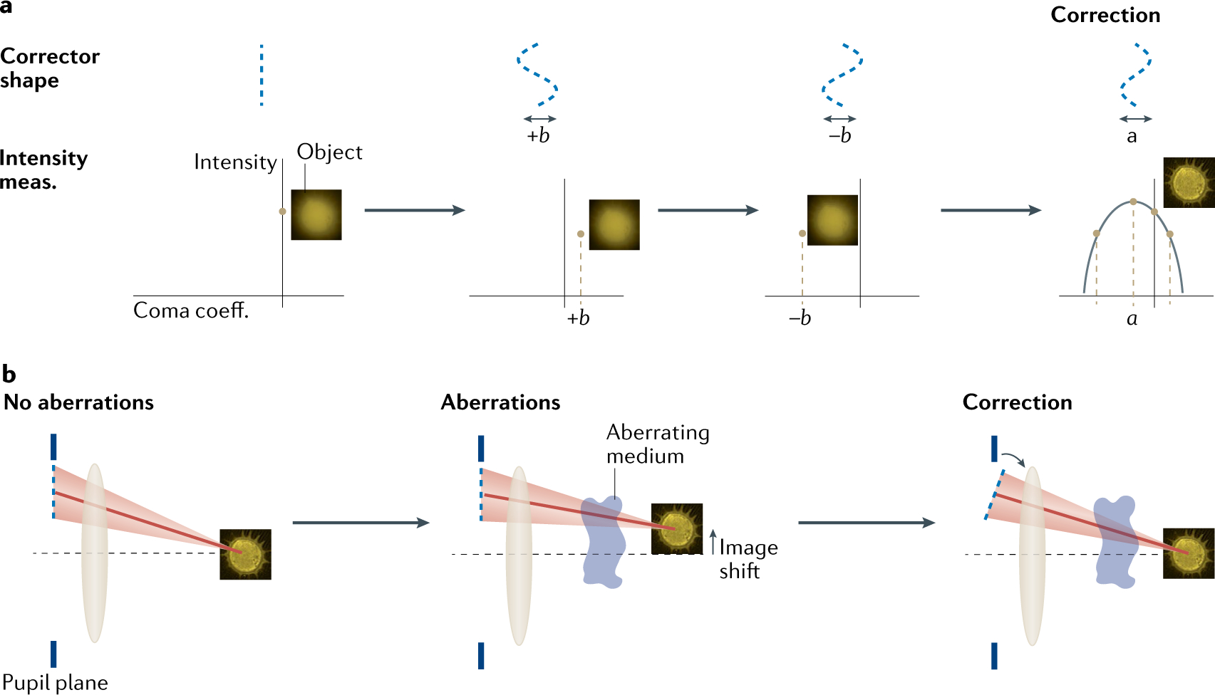 Fig. 4 |