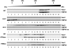 Figure 9.