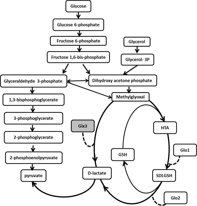 FIGURE 1.