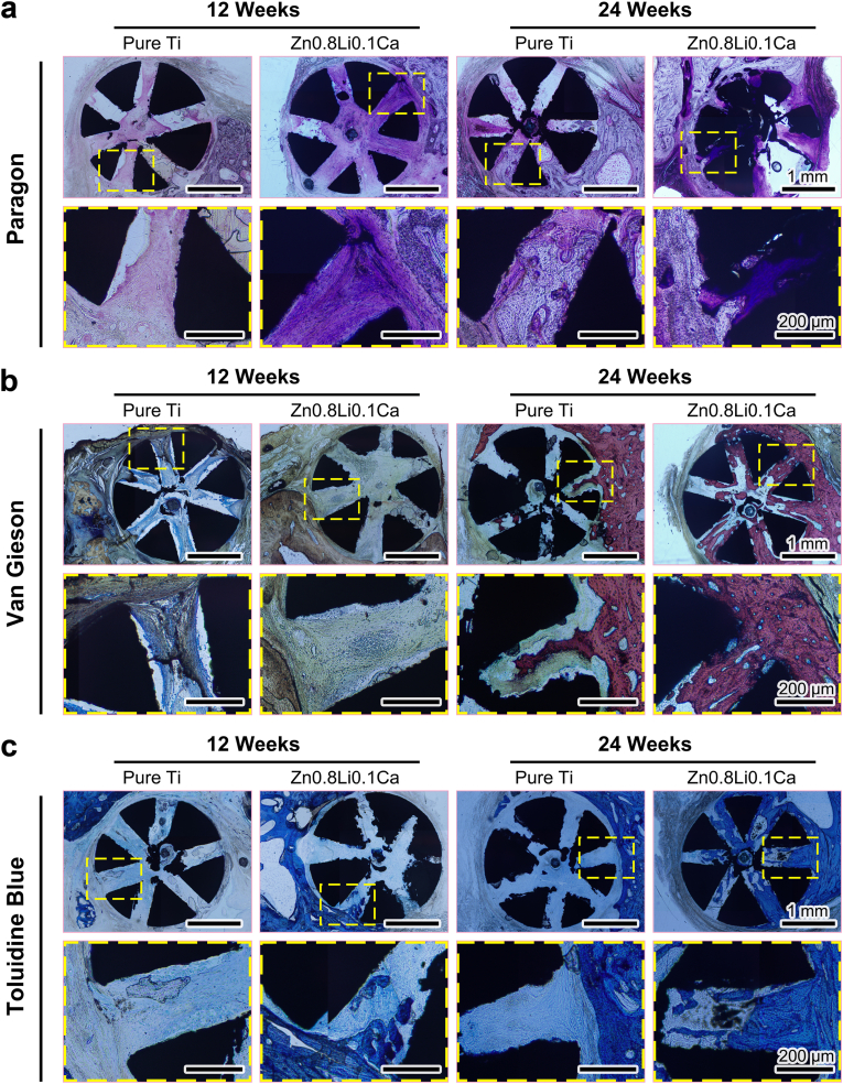 Fig. 6