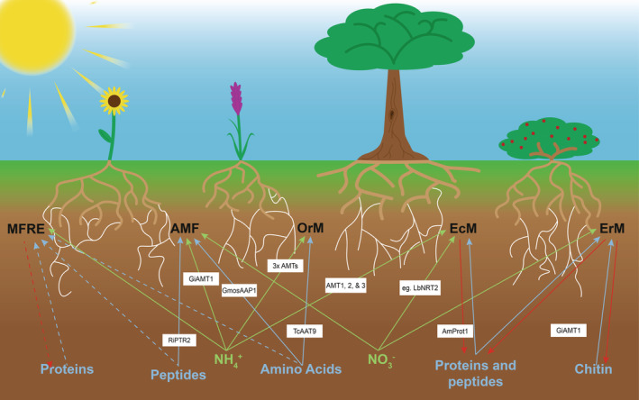 FIGURE 3