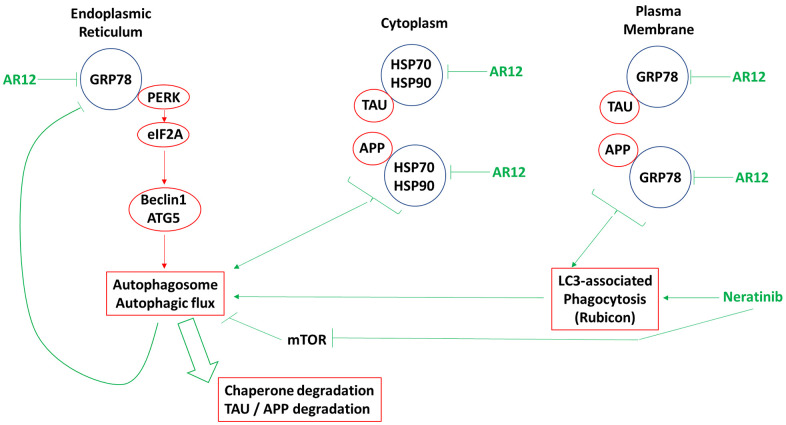 Figure 17