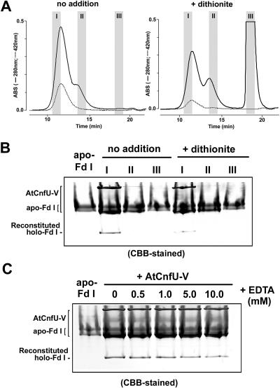 Figure 11.