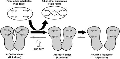 Figure 12.