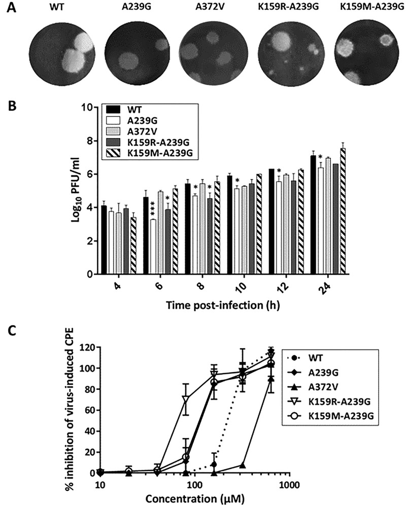 FIG 5