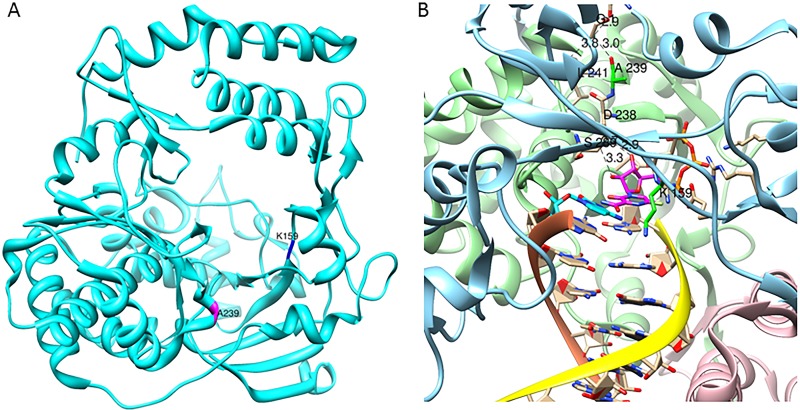 FIG 2