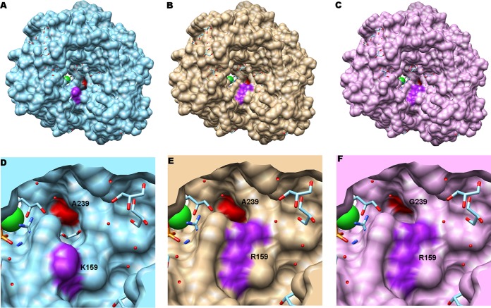 FIG 4