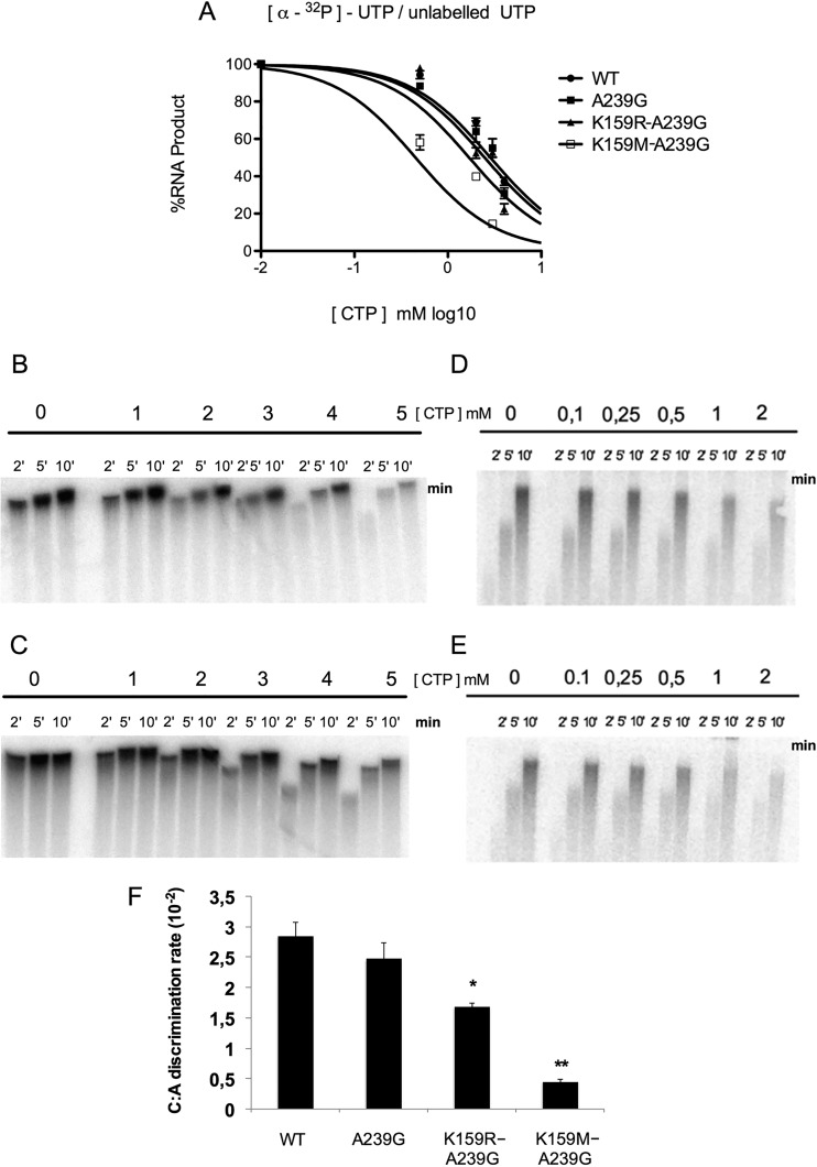 FIG 7