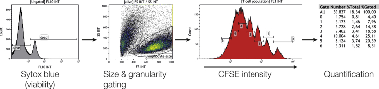 Supplementary Fig. 1